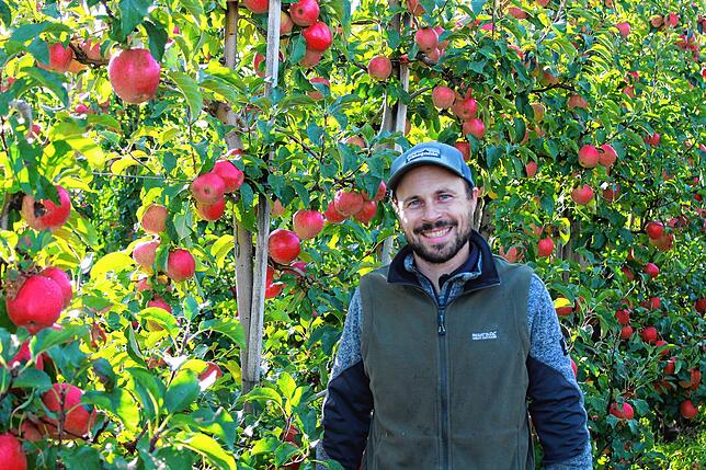 Philipp Kuppel in seiner Pinova-Anlage. Die Äpfel sehen aus wie gemalt, sind gleichmäßig rot gefärbt und haben nahezu die gleiche Größe ...