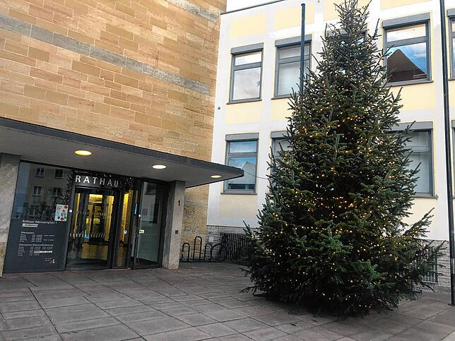 Geschmückt mit einer Lichterkette wacht der acht Meter hohe Weihnachtsbaum vor dem Rathaus in Friedrichshafen.
