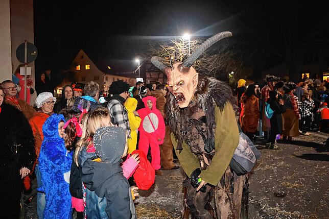 Bild 22: Nachtumzug Möggingen 2025: Fasnacht in Bildern – 30 Gruppen in voller Pracht