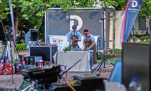 Bild 14: Ein digitaler Abend für mehr Zusammenhalt in Bad Säckingen und der Region