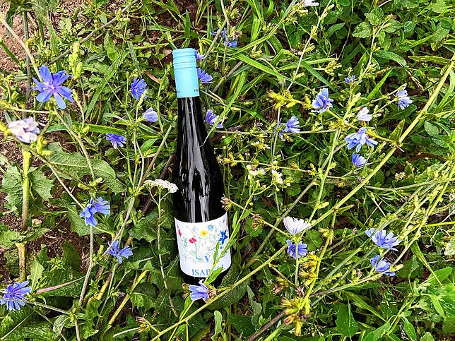 Dieser junge, leichte Weißwein trägt den Namen „Isabelle“. Das Logo wurde eigens von Isabelle Vollmayer gemalt und bildet die Blumen ab, ...