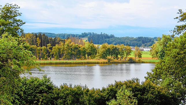 Baden und Angeln ist am Ruschweilersee erlaubt. Seine maximale Wassertiefe wird mit 17,3 Meter angegeben.
