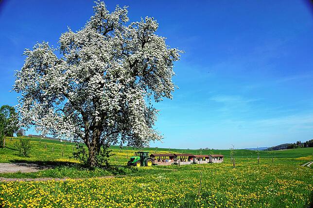 Das Apfelzügle von Familie Roth