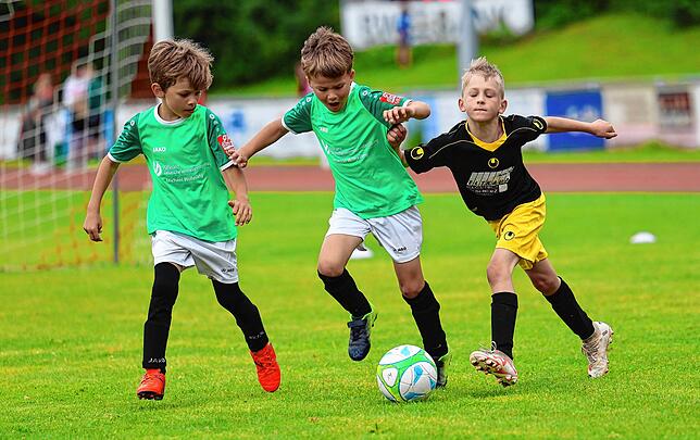 Bild 3: Unsere große Bildergalerie vom Bambini-Turnier beim Schlossseecup des FC RW Salem