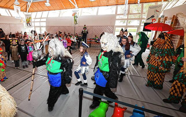Bild 18: Die schönsten Bilder des Kinderballs der Froschenzunft Radolfzell
