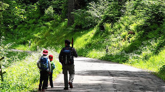 Im Hotzenwald lockt die Natur: Eine Wandersfamilie im Schwarzenbachtal. Dennoch verzeichnen die Hotzenwaldgemeinden Rückgänge bei den ...