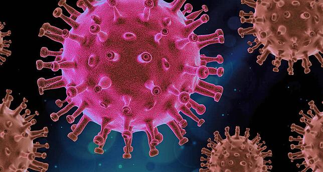 87-jährige Thurgauerin an Folge des Coronavirus verstorben. Symbolbild: PIRO4D / Pixabay