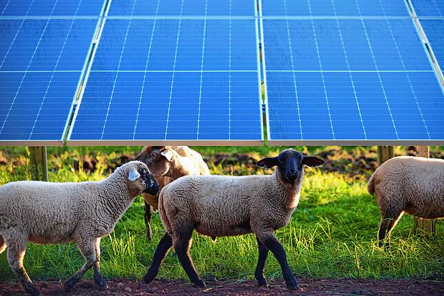 Die Energiewende mit erneuerbaren Energien wird für den Freien Wählern nachhaltig unterstützt.