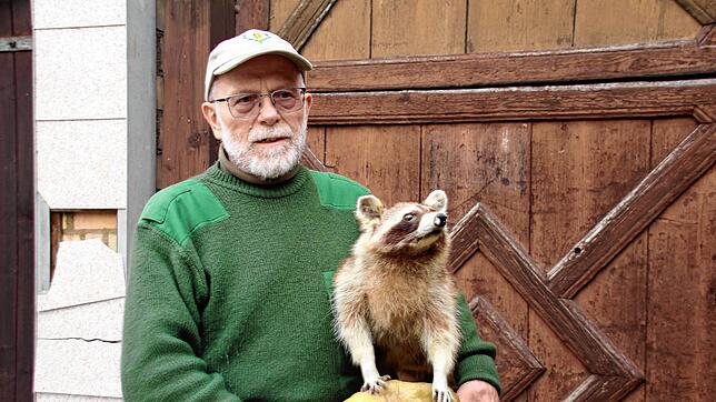 Stadtjäger Kurt Kirchmann mit einem ausgestopften Waschbären. Auch diese Tiere sind bei uns mittlerweile heimisch.