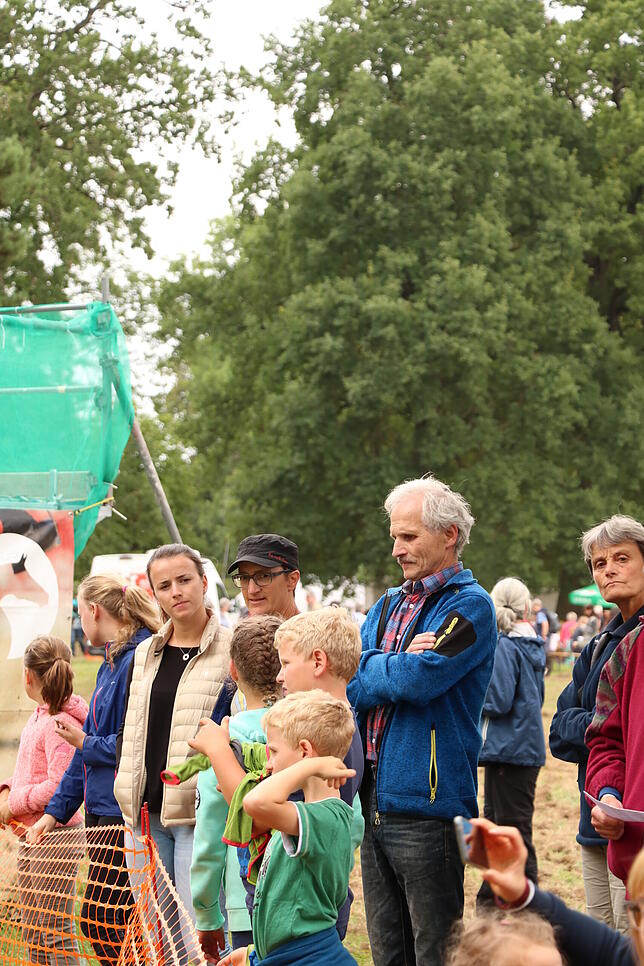 Bild 37: Bilder vom Marathon der Vierspänner beim Reitturnier in Donaueschingen