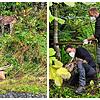 Enrico Beckmann ist ein wunderschönes Foto von einem Luchs gelungen (Bild links). Jens Seeger (FVA, links) und Veterinär Marco Roller ...