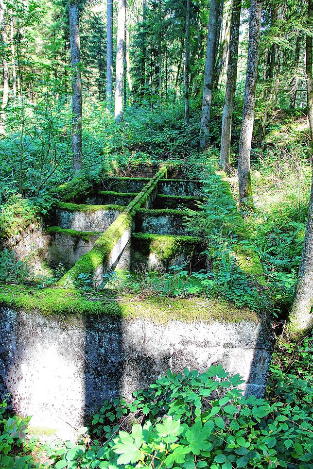 Mit Moos überwucherte Betonbecken erinnern im Eckerwald bis heute an die Versuche, aus Ölschiefer Schweröl zu pressen.