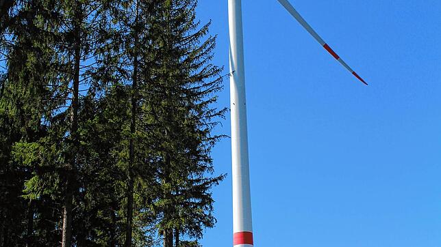 Eines der Windräder der Anlage Amtenhauser Berg in Ippingen. Foto: Jutta Freudig