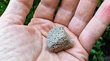 Was bitte ist das? Solche schwammartigen Würfel wurden vor Überlingen zigfach aus dem Bodensee gefischt.