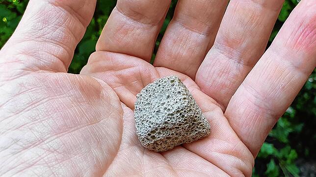 Was bitte ist das? Solche schwammartigen Würfel wurden vor Überlingen zigfach aus dem Bodensee gefischt.