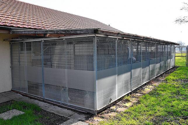 Unter anderem soll auch der Außenbereich des Tierheims für Hunde erweitert werden.