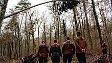 Holzhauer, die auf Narrenbäume starren: Über einen langen Zeitraum ging der Blick der Holzhauer nach oben zum Narrenbaum.