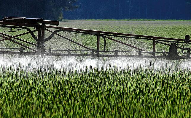 Ein Landwirt versprüht mit einem Spezialgerät Pflanzenschutzmittel über ein Roggenfeld. Auf EU-Ebene gibt es das Bestreben, die Menge ...