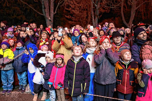 Bild 7: Fastnachtsverbrennung in Radolfzell