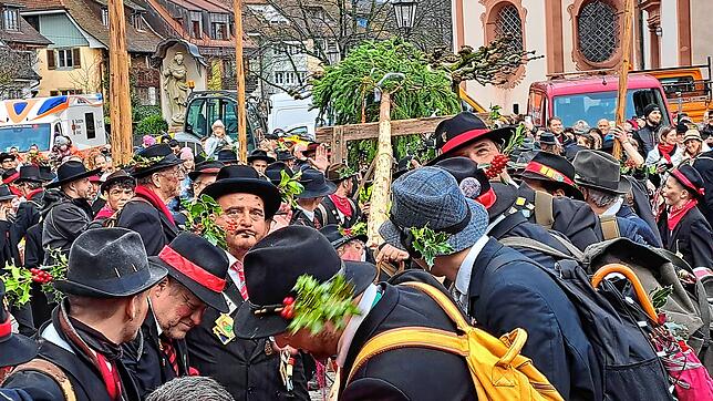 In Bad Säckingen stellen Wälder am Ersten Faißen auf dem Münsterplatz den Narrenbaum. Nach alter Sitte erfolgt dies in reiner Handarbeit.