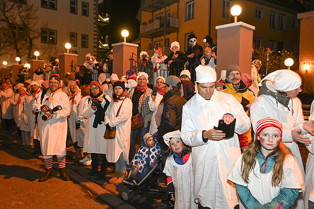 Bild 16: So schön war der Hemdglonkerumzug in Radolfzell &ndash; mit Videos!