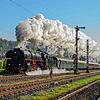 Bild :