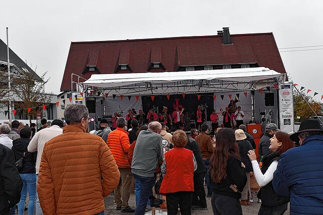 Bild 6: Streubi – Alemannenfest in Birkendorf Teil 1
