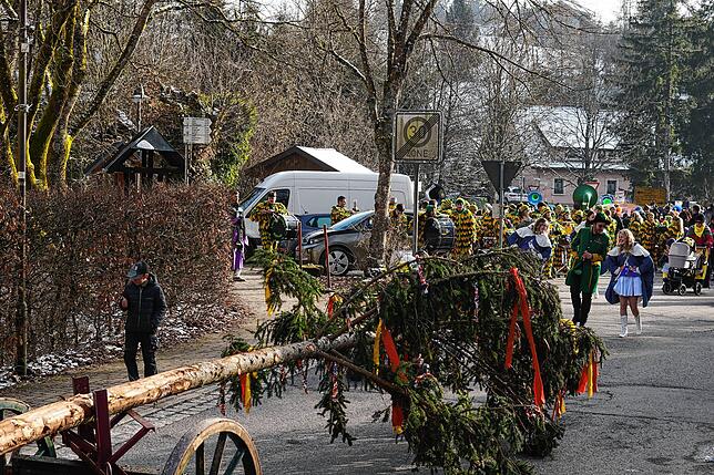 Bild 11: Bilderstory: Umzug und Narrenbaumstellen in Rickenbach begeistern die Zuschauer