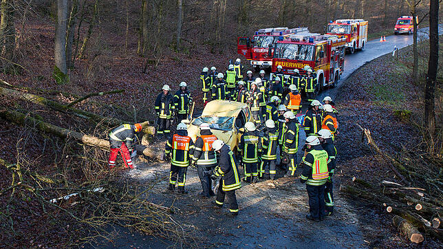 Wenn es stürmt, trauen sie sich immer noch raus: Feuerwehr-Männer beseitigen Sabine-Sturmschäden.