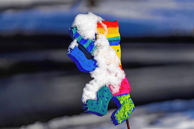 Bild 12: Wintereinbruch im Schwarzwald verschönert durch Schnee und Sonne