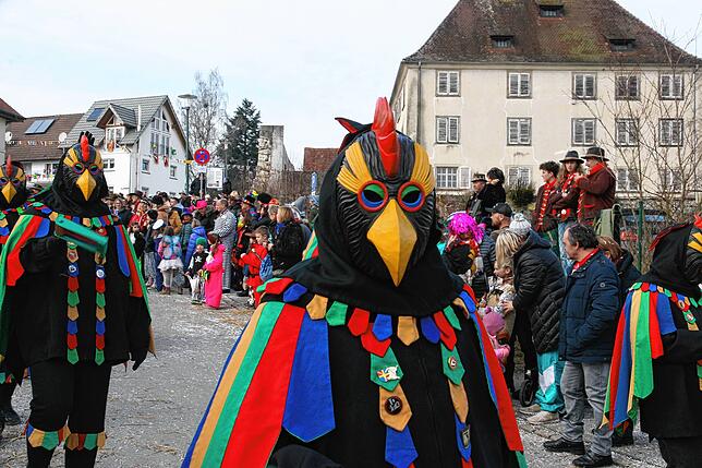 Bild 10: So schön war der Jubiläumsumzug zum 60 jährigen Bestehen der Sunnelöscherzunft