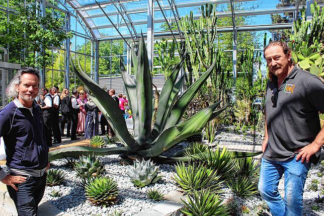 Kakteenexperte Detlef Hellinger (links) half Andreas Höfler bei der Gestaltung der Kakteenschau und spendete eine riesige Agave, eine ...