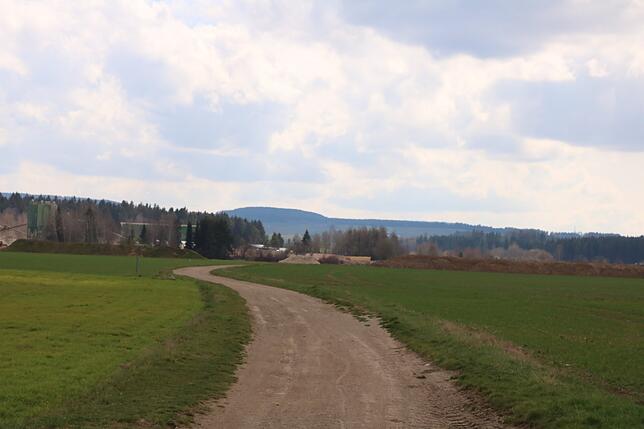In Richtung Hüfingen führt der Radweg am Riedsee vorbei. Bis er wieder gerichtet ist, wird die Verbindung von der Stadtverwaltung ...