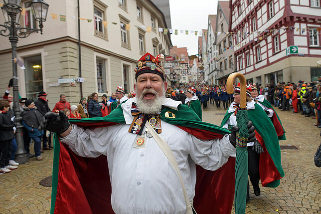 Bild 23: Tausende Hästräger und Musiker in Pfullendorf: Bilder vom Umzug (2)
