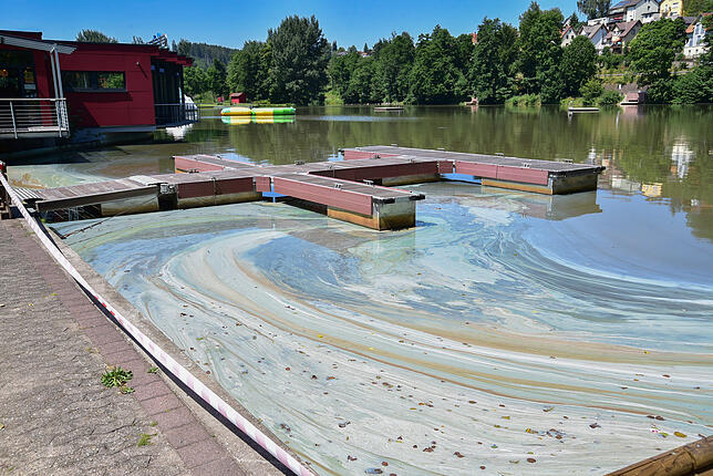 Kein einladendes Bild. Im Eingangsbereich sammelt sich ein grüner Film auf der Wasseroberfläche.