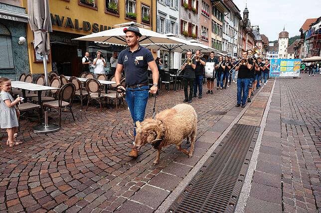 Bild 5: Bilder zur Chilbibocktaufe in Waldshut