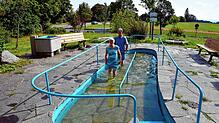 Zur Verschönerung der Anlage hat der Höchenschwander Kurverein einige schattenwerfende Bäume gespendet und einen Barfußpfad angelegt, ...