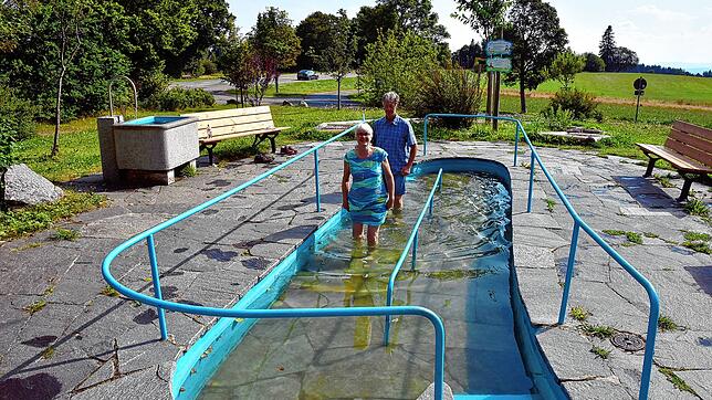 Zur Verschönerung der Anlage hat der Höchenschwander Kurverein einige schattenwerfende Bäume gespendet und einen Barfußpfad angelegt, ...
