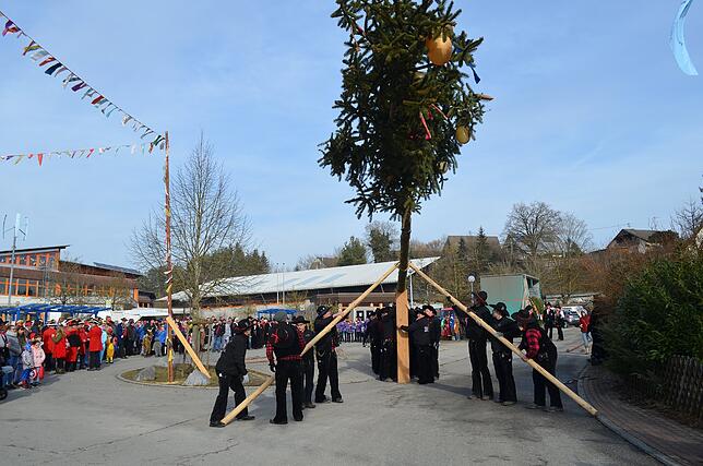Bild 12: Bilder von den Narrentagen in Eigeltingen &ndash; Der Narrenbaum
