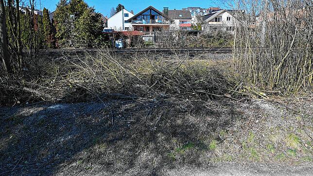 Kompletter Kahlschlag: So sah der Bereich im Markelfinger Winkel direkt nach der Abholzung aus.