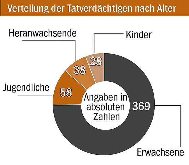 Bild 2: Straftaten gehen in Donaueschingen deutlich zurück – nur in einem Bereich nicht