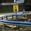 Auf Initiative des Ortschaftsrats Indlekofen wurden Schilder mit der Bitte &bdquo;Freiwillig Tempo 40&ldquo; aufgestellt.