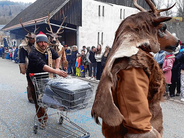 Bild 14: Die schönsten Bilder vom großen Habufa-Umzug in Hasel (1)