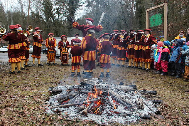 Bild 8: So kommt der Narrenbaum vom Wald in die Stadt