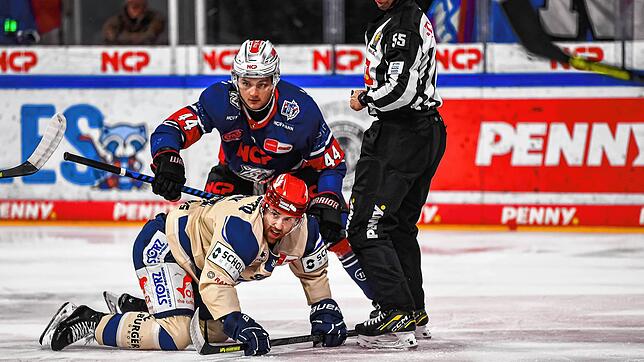 Die Nürnberg Ice Tigers (hinten Roman Kechter) lassen den Schwenninger Wild Wings (Tylor Spink) keine Chance. Die Schwarzwälder ...
