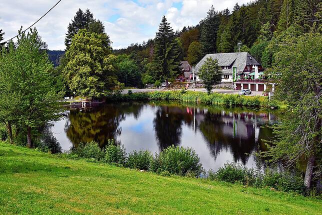 Der Klosterweiher in Wittenschwand, im Hintergrund der Klosterweiherhof.