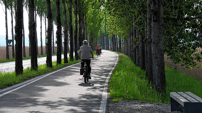 Für Radfahrer ab Konstanz ist es nicht leicht, den Damm zur Insel Reichenau (im Bild) zu erreichen. Die Wiederbelebung eines alten ...