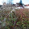 Bild :