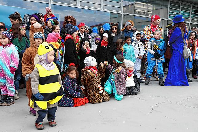 Bild 11: Bilder vom Kindernarrenbaumstellen