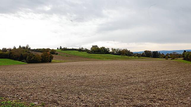 Hier, auf dem Hafner-Gelände, soll bald Wohnraum für tausende Konstanzer entstehen.